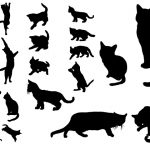 Letterpress Cats plate
